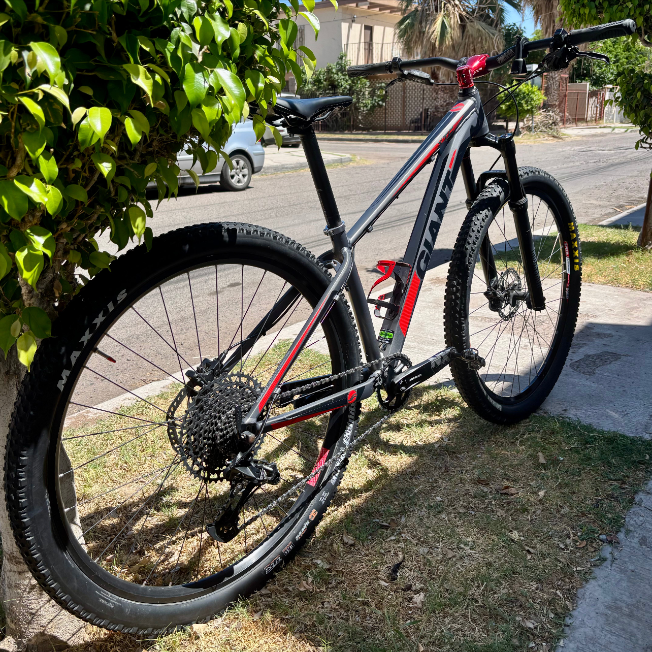 Bicicleta Giant 12 V Talla S